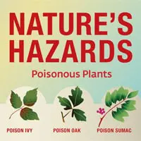 Poisonous Plants