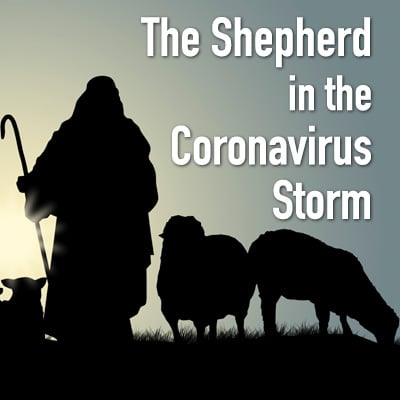 The Shepherd in the Coronavirus Storm