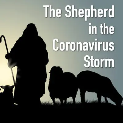 The Shepherd in the Coronavirus Storm