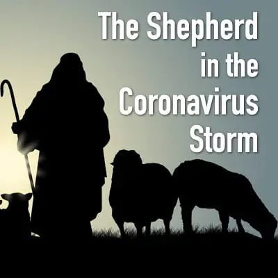 The Shepherd in the CoronaVirus Storm