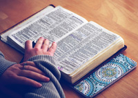 Young Man Reading Bible