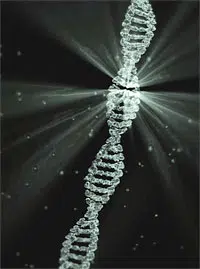 DNA Strand