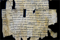 Dead Sea Scrolls