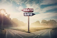 Life or Death Road